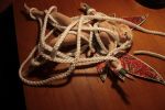 Nutmeg_0697n_ToysRopeWebbing.jpg