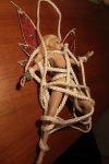 Nutmeg_0698n_ToysRopeWebbing.jpg