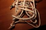 Nutmeg_0700n_ToysRopeWebbing.jpg